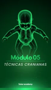 Módulo 05
