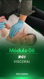 Módulo 06