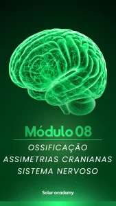 Módulo 08