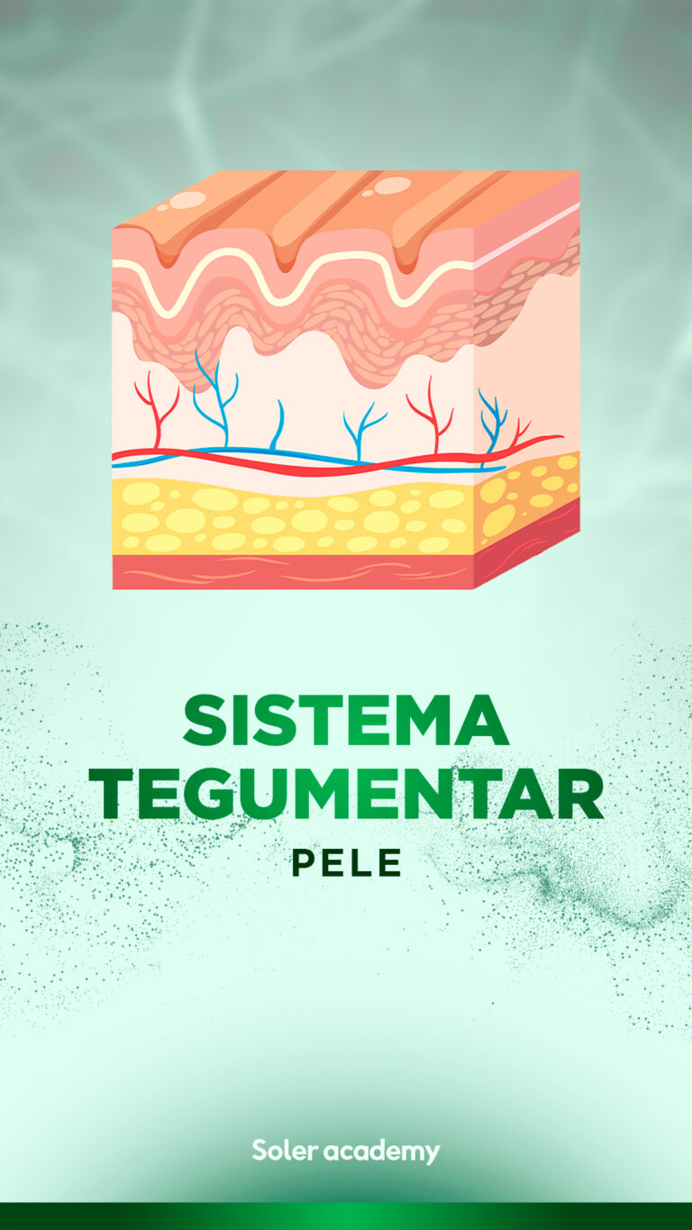 Capas Massoterapia 5